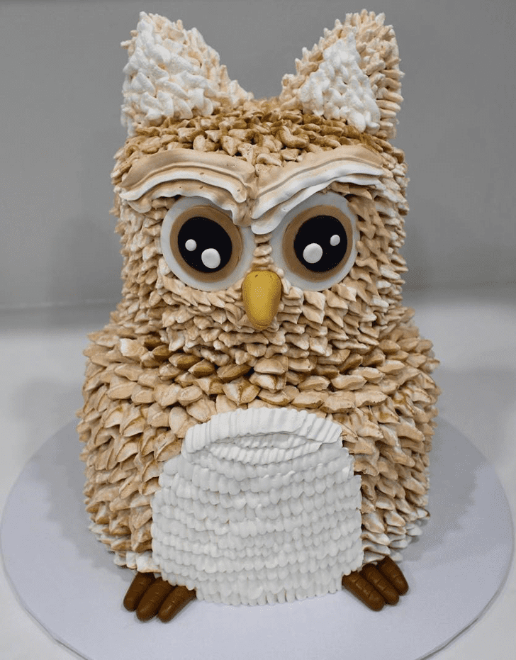 Lovely Owl Cake Design