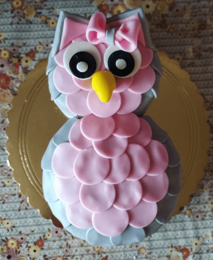 Magnetic Owl Cake