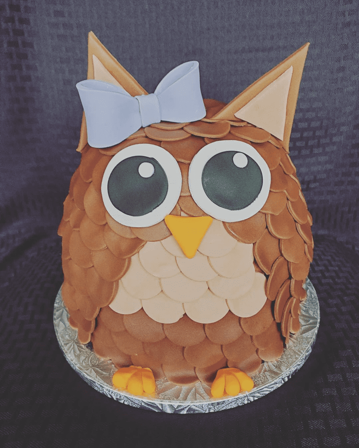 Magnificent Owl Cake