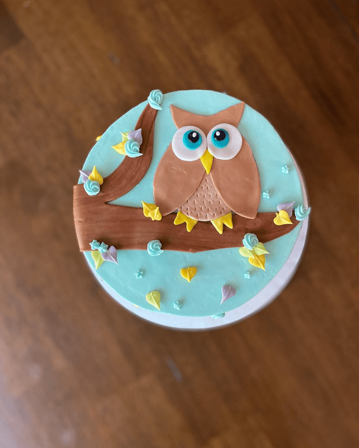 Nice Owl Cake