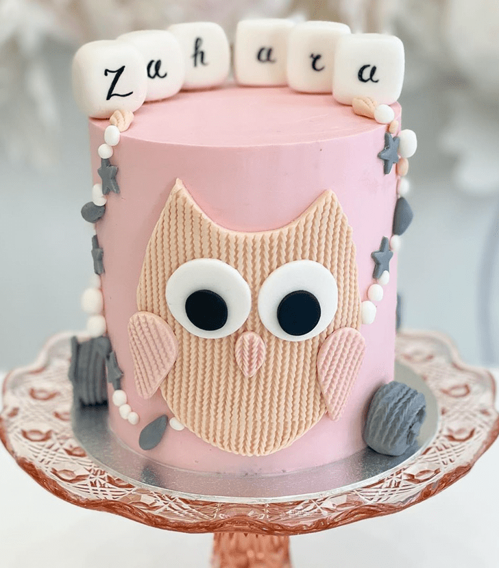Splendid Owl Cake
