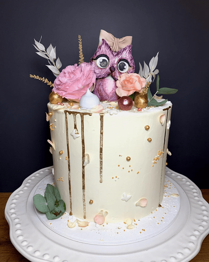 Stunning Owl Cake