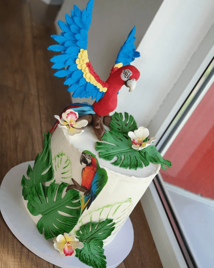 Comely Parrot Cake