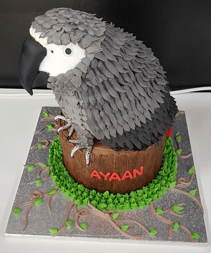 Dazzling Parrot Cake
