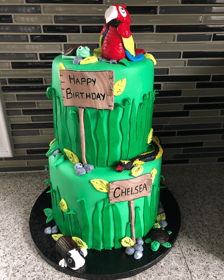 Fetching Parrot Cake