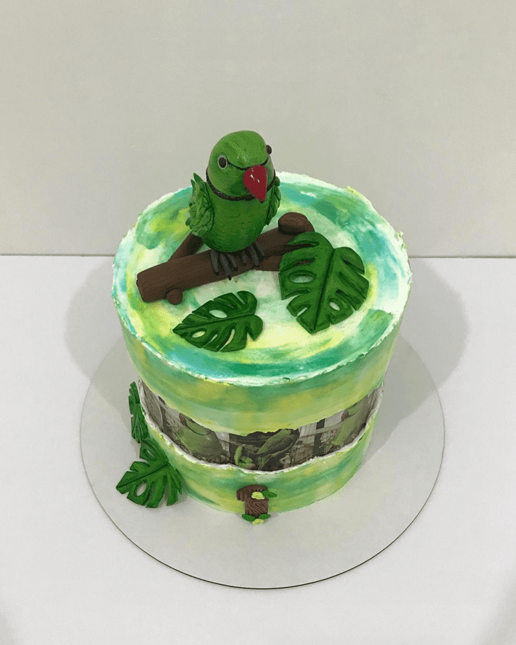Fine Parrot Cake