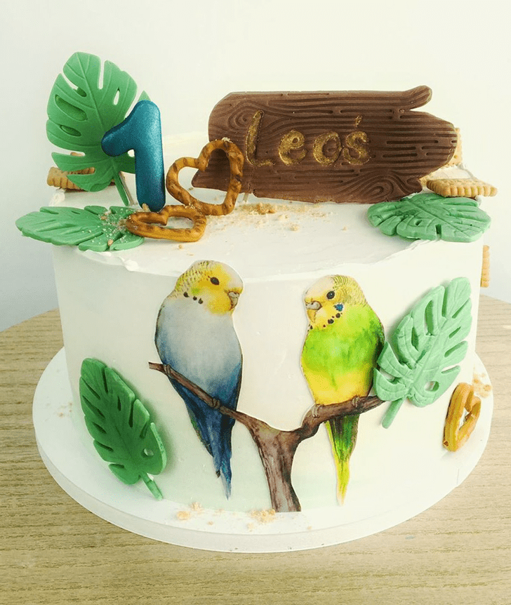 Gorgeous Parrot Cake