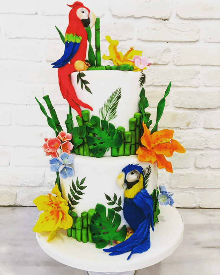 Ideal Parrot Cake