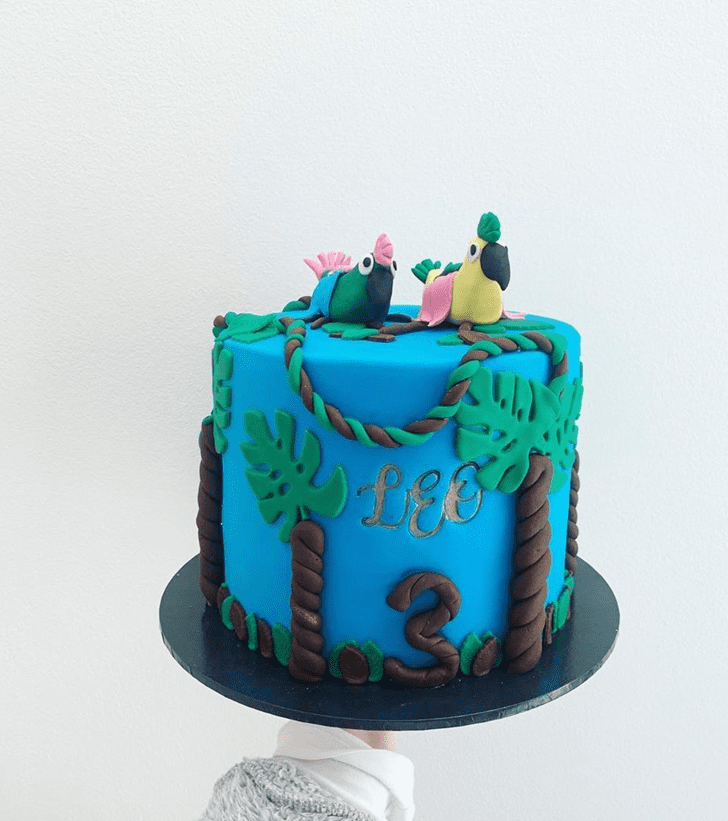 Magnetic Parrot Cake