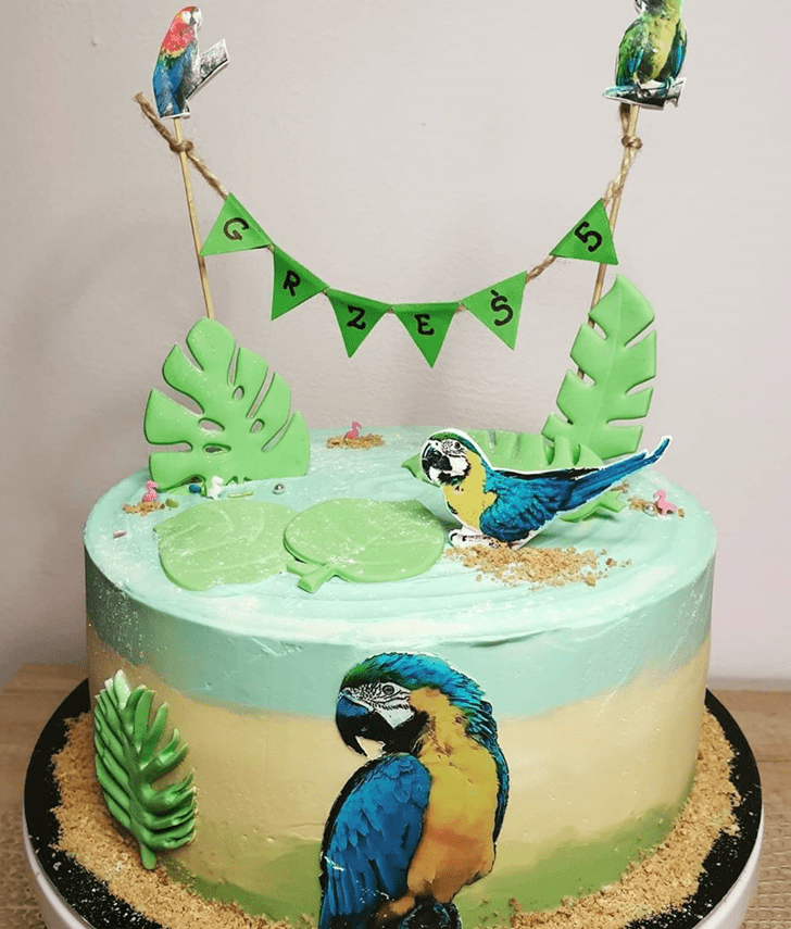 Mesmeric Parrot Cake