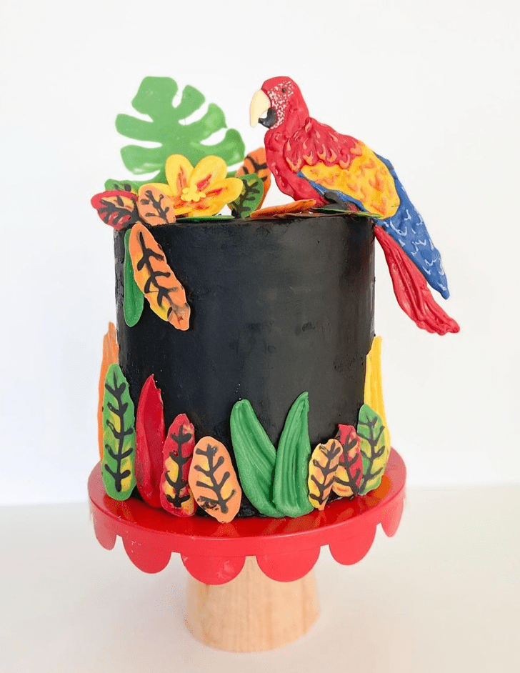 Nice Parrot Cake