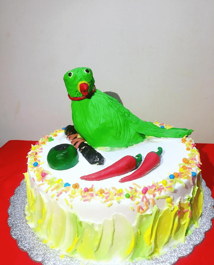 Pretty Parrot Cake