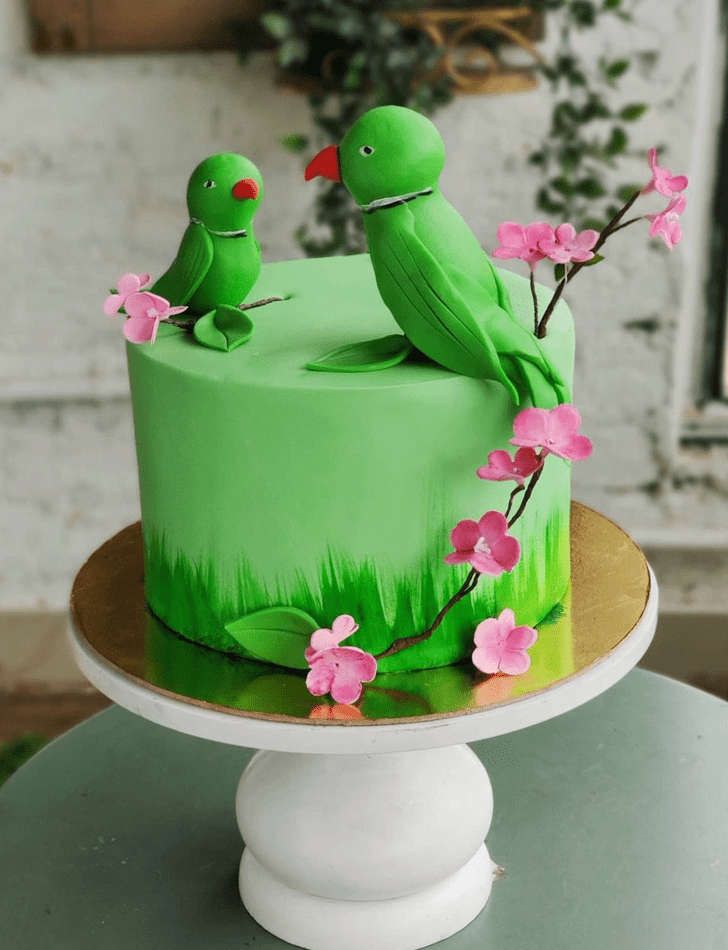 Superb Parrot Cake