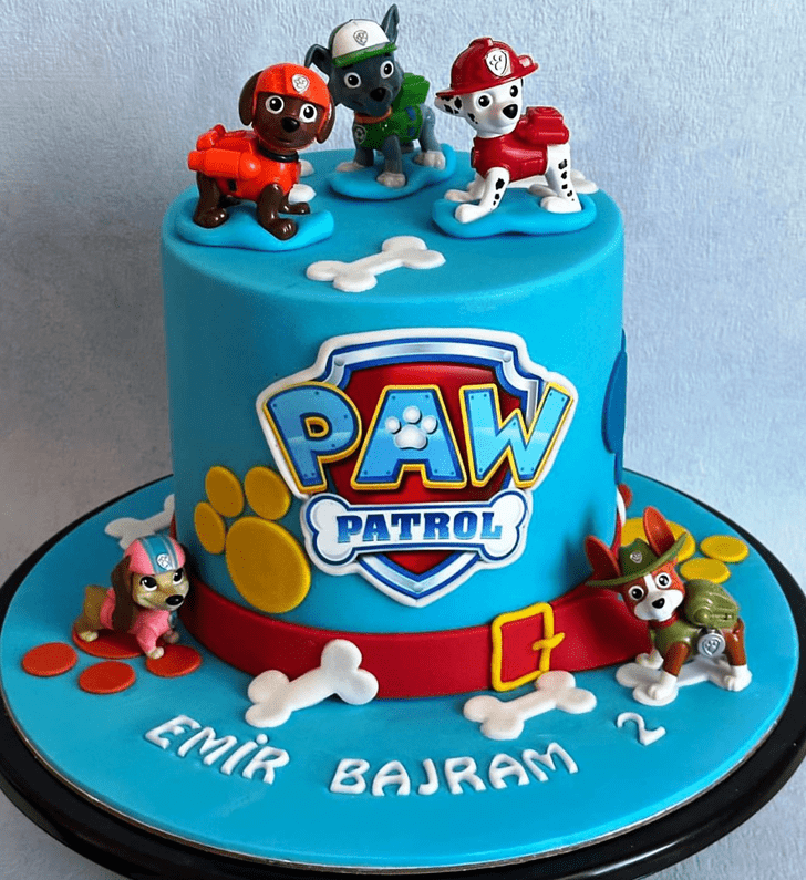 Comely Paw Patrol Cake