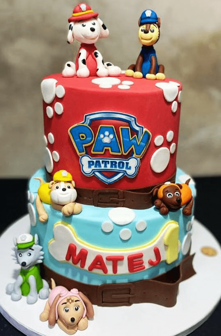 Cute Paw Patrol Cake