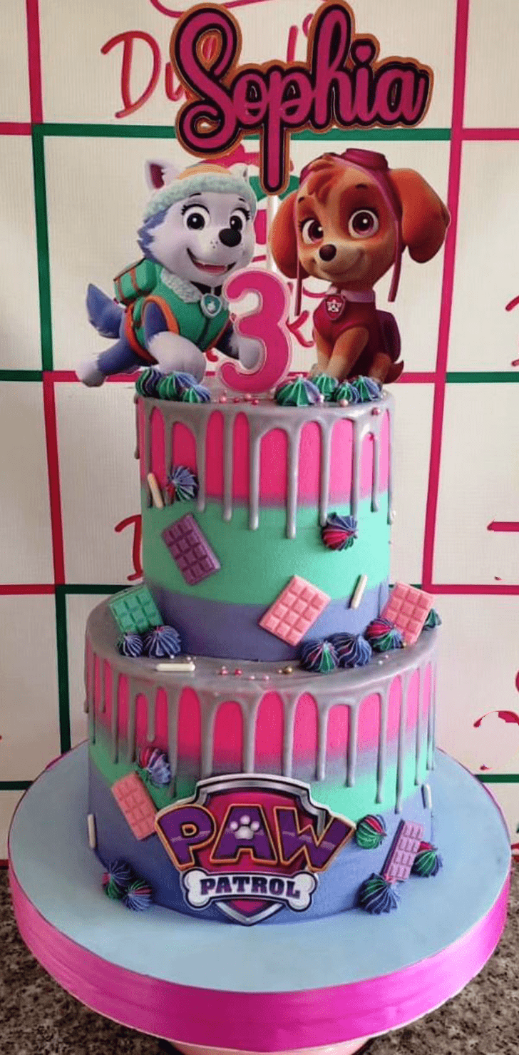 Delicate Paw Patrol Cake