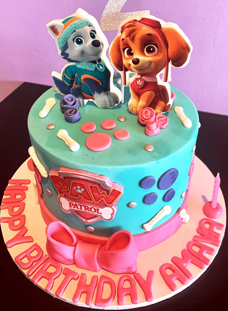 Elegant Paw Patrol Cake