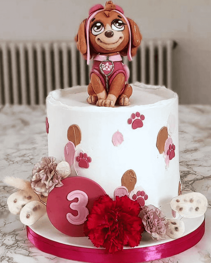 Exquisite Paw Patrol Cake