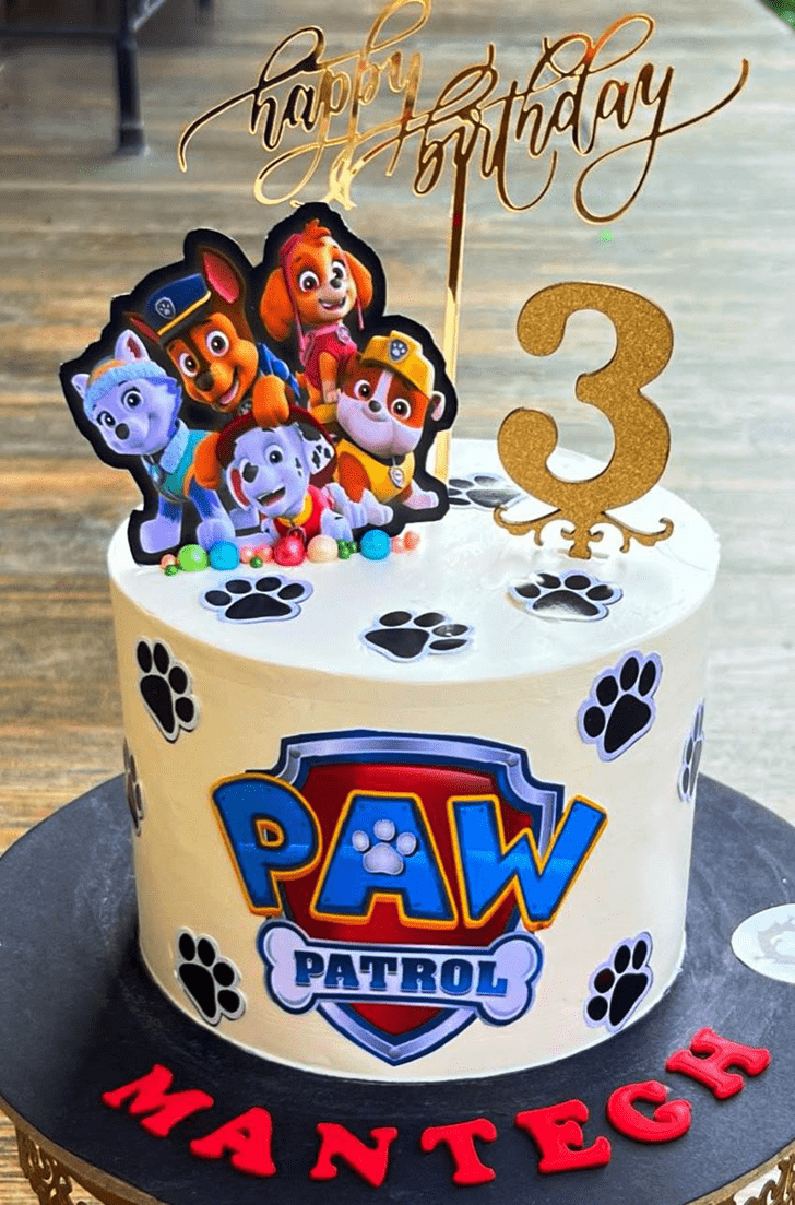 Fair Paw Patrol Cake