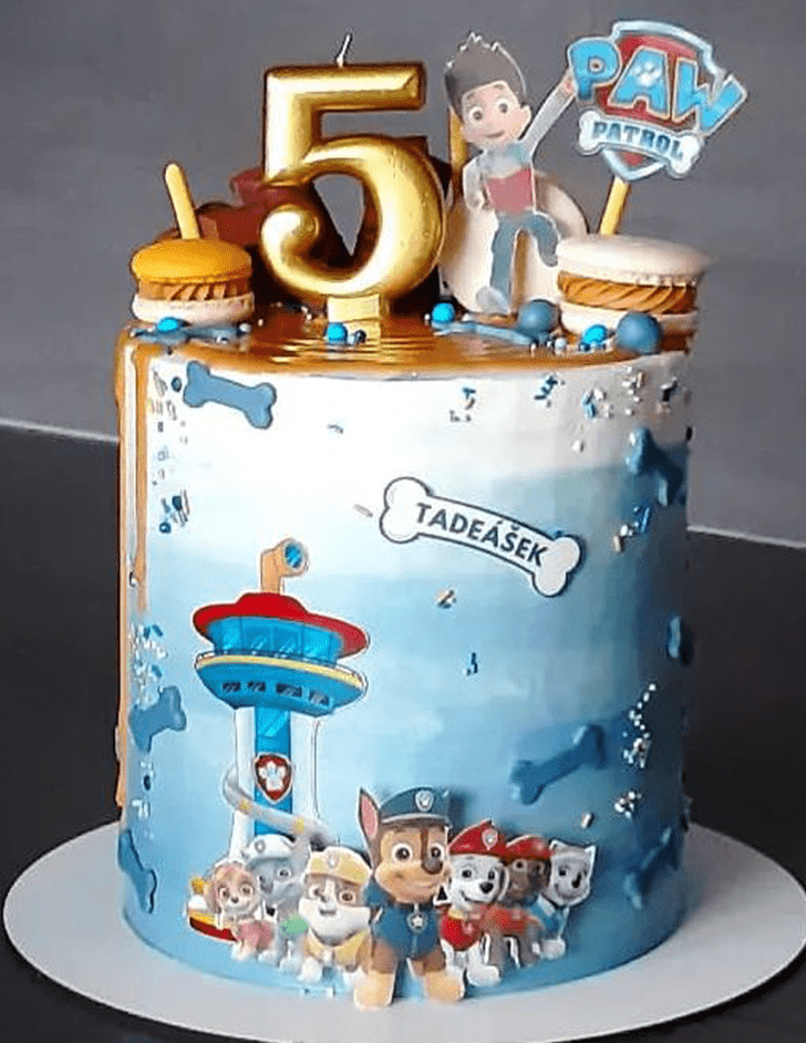 Fascinating Paw Patrol Cake