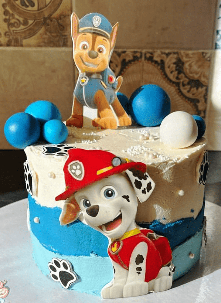 Fine Paw Patrol Cake