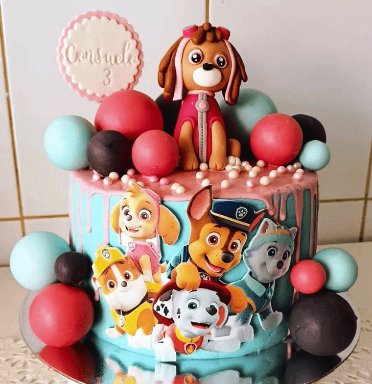 Gorgeous Paw Patrol Cake