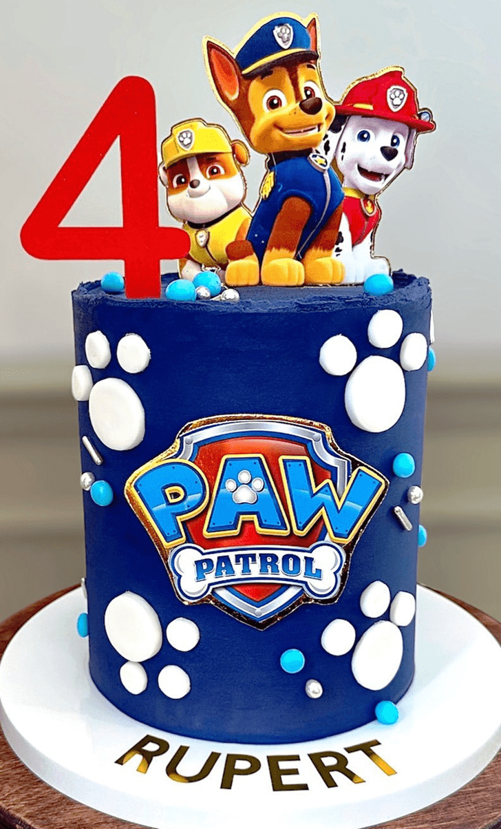 Handsome Paw Patrol Cake