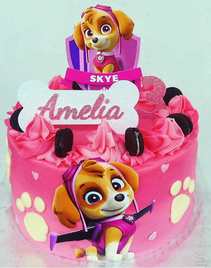 Magnetic Paw Patrol Cake