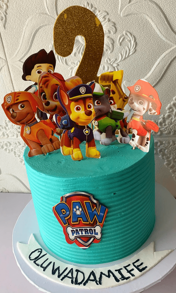 Pretty Paw Patrol Cake