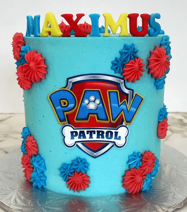 Refined Paw Patrol Cake