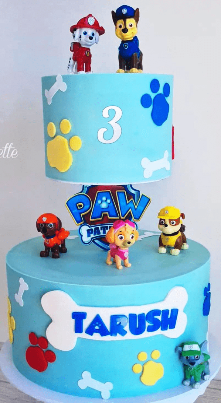 Resplendent Paw Patrol Cake