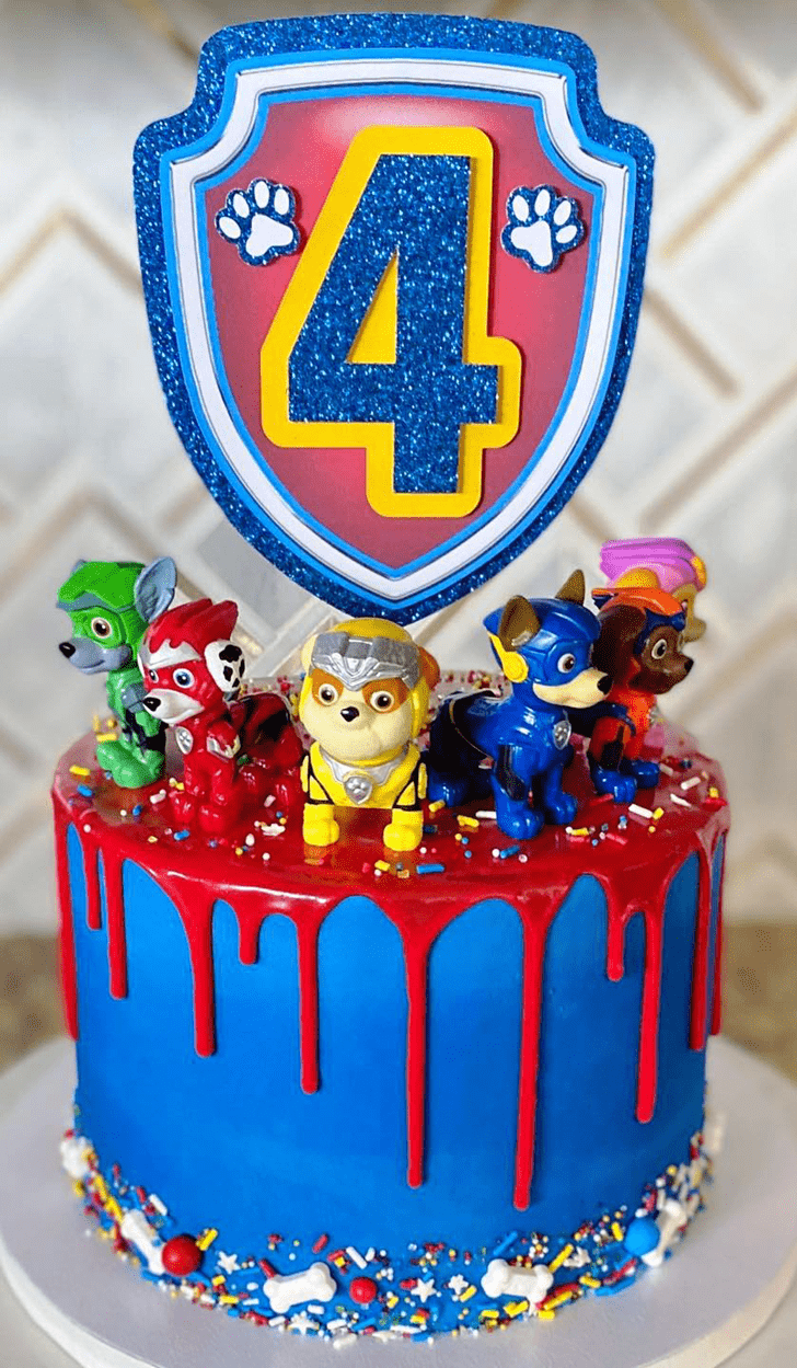 Shapely Paw Patrol Cake