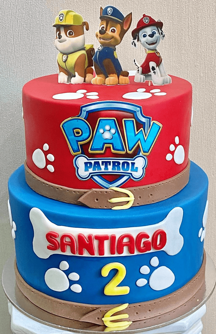 Slightly Paw Patrol Cake