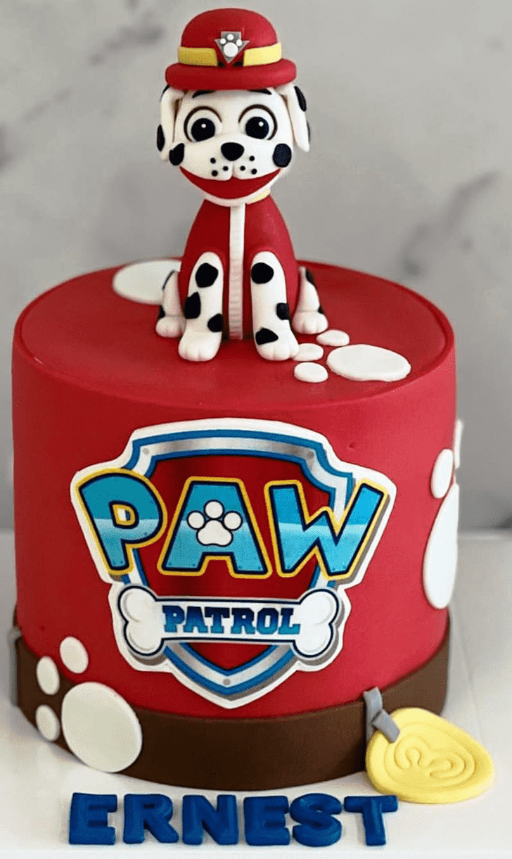 Superb Paw Patrol Cake