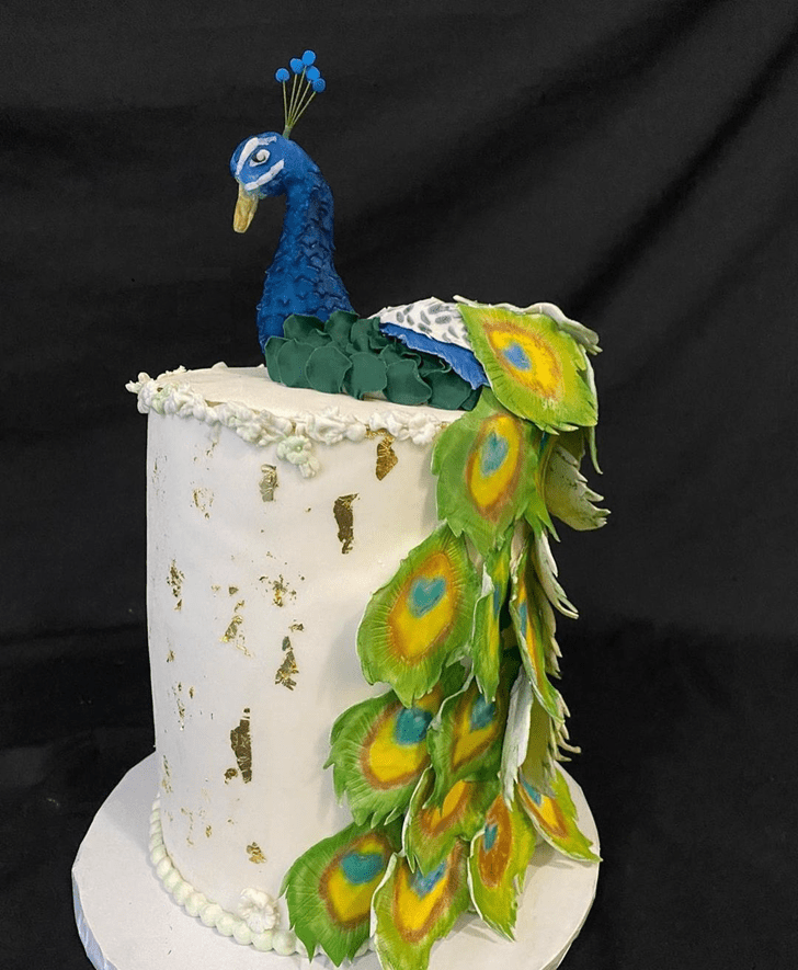 Magnetic Peacock Cake