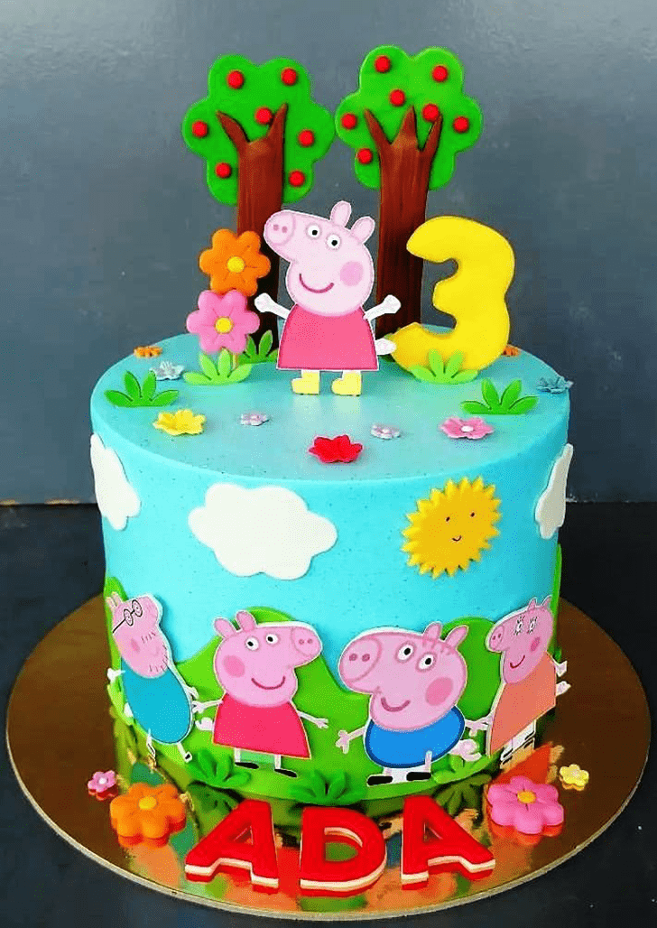 Magnetic Peppa Pig Cake