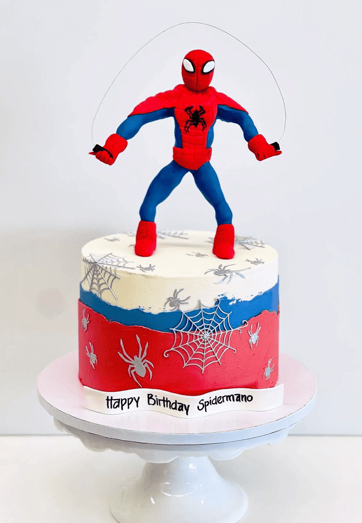 Peter Parker Birthday Cake Ideas Images (Pictures)