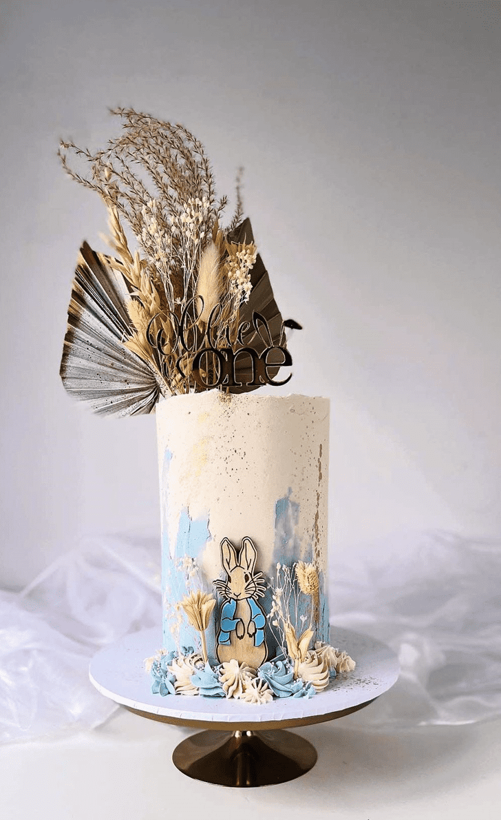 Comely Peter Rabbit Cake