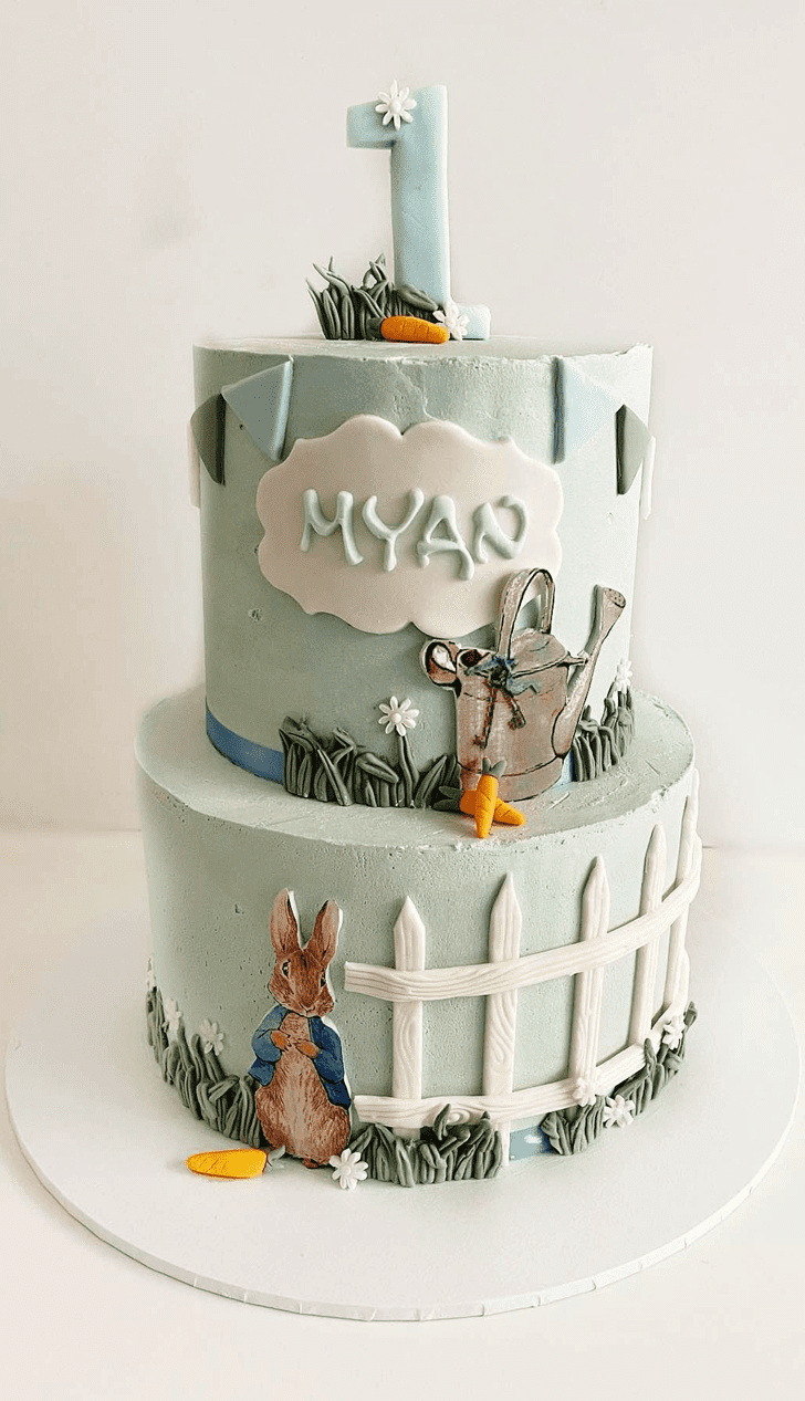 Good Looking Peter Rabbit Cake
