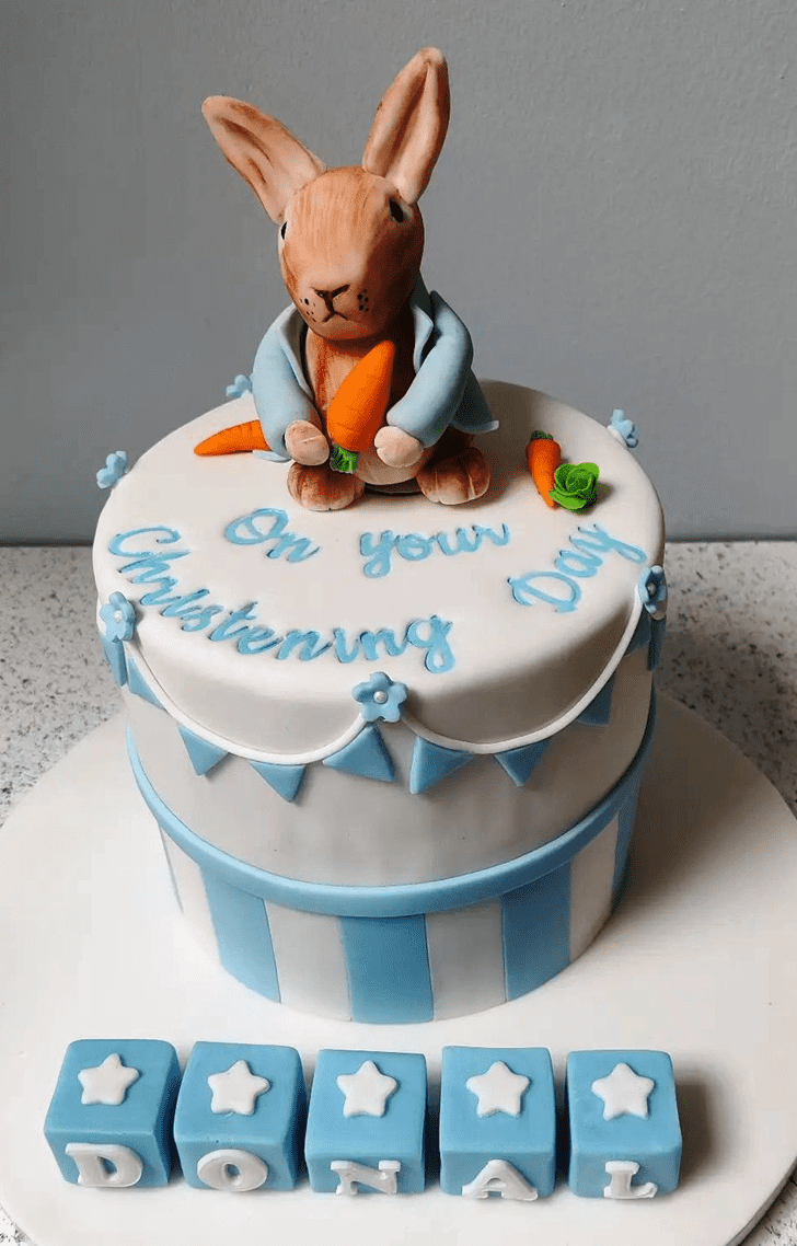 Magnetic Peter Rabbit Cake