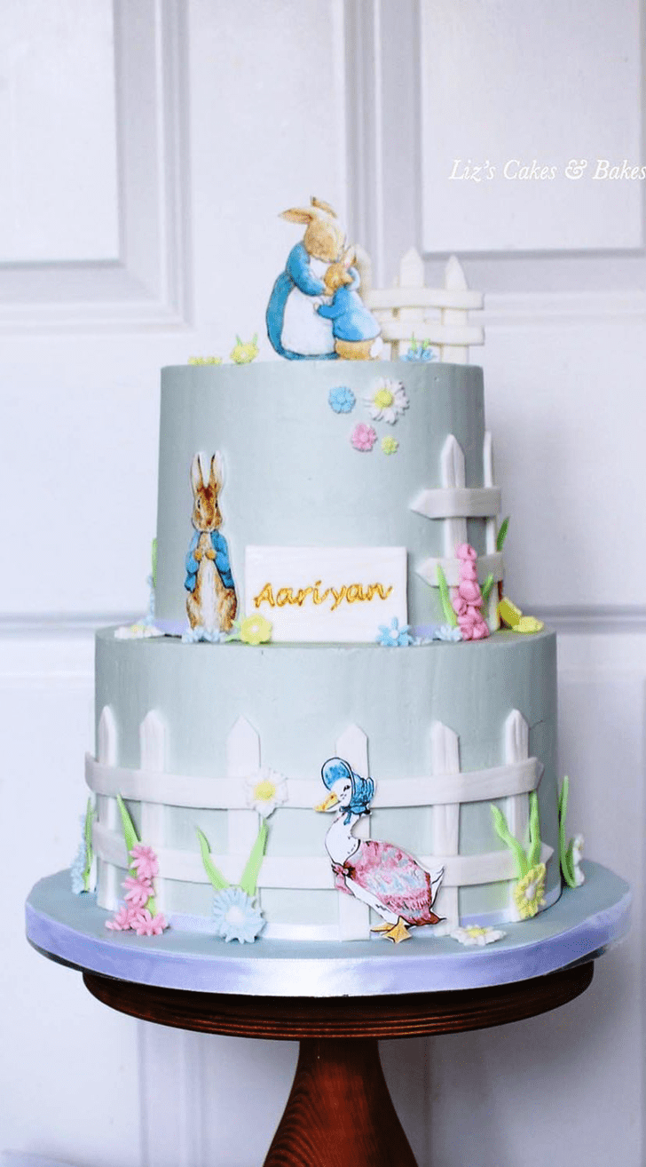 Nice Peter Rabbit Cake