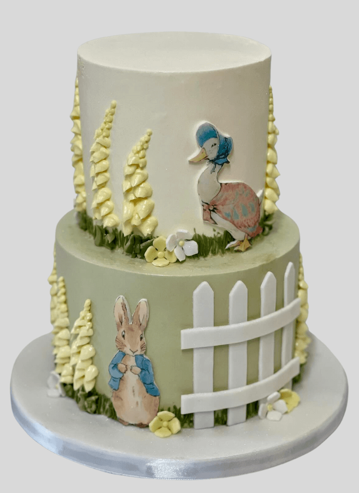 Admirable Peter Rabbit Cake Design