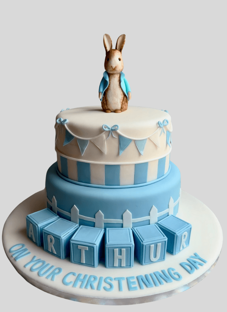 Comely Peter Rabbit Cake