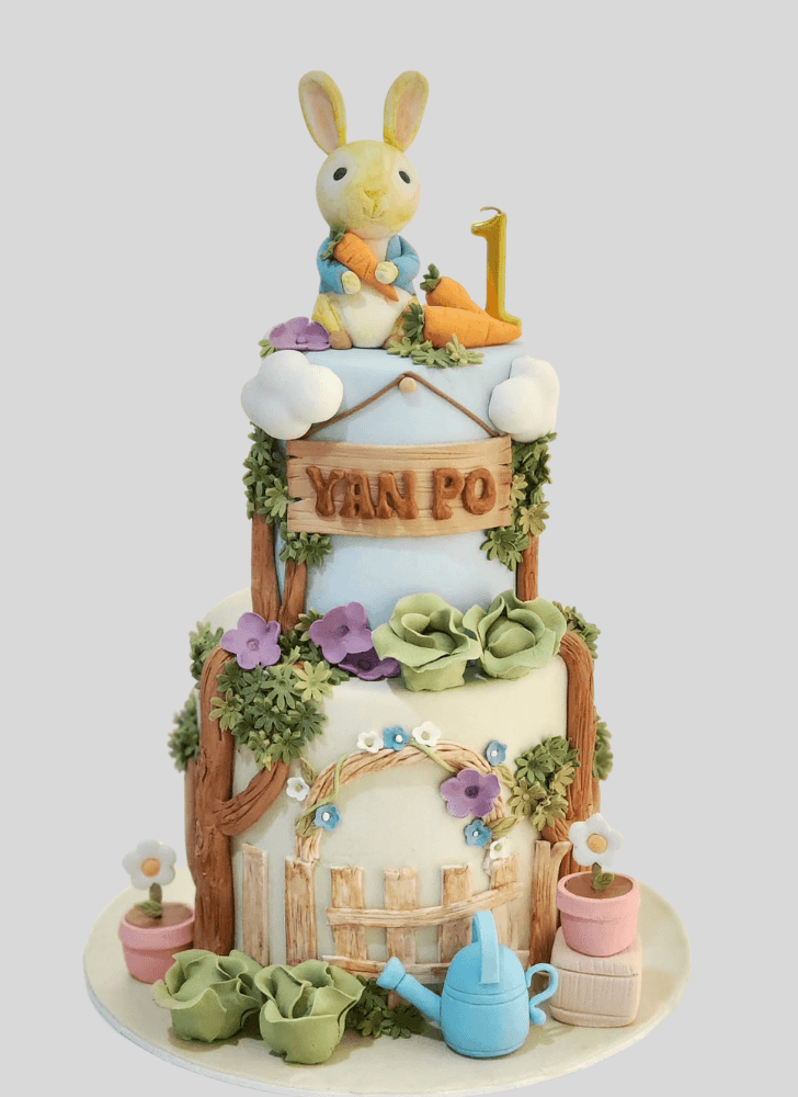 Good Looking Peter Rabbit Cake