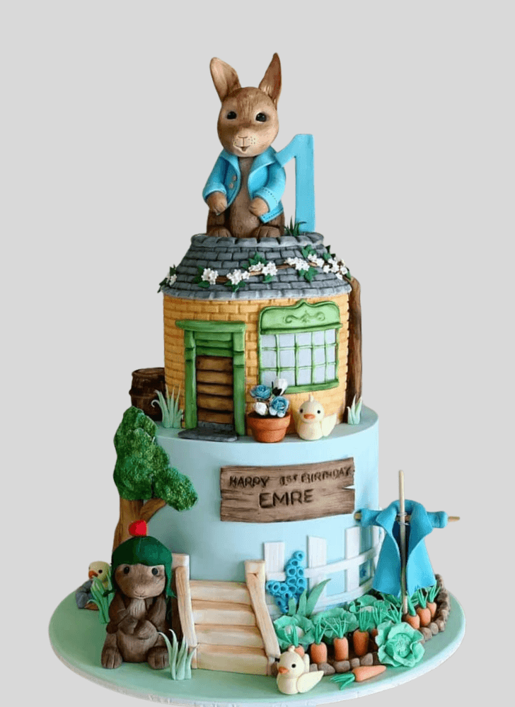 Ideal Peter Rabbit Cake