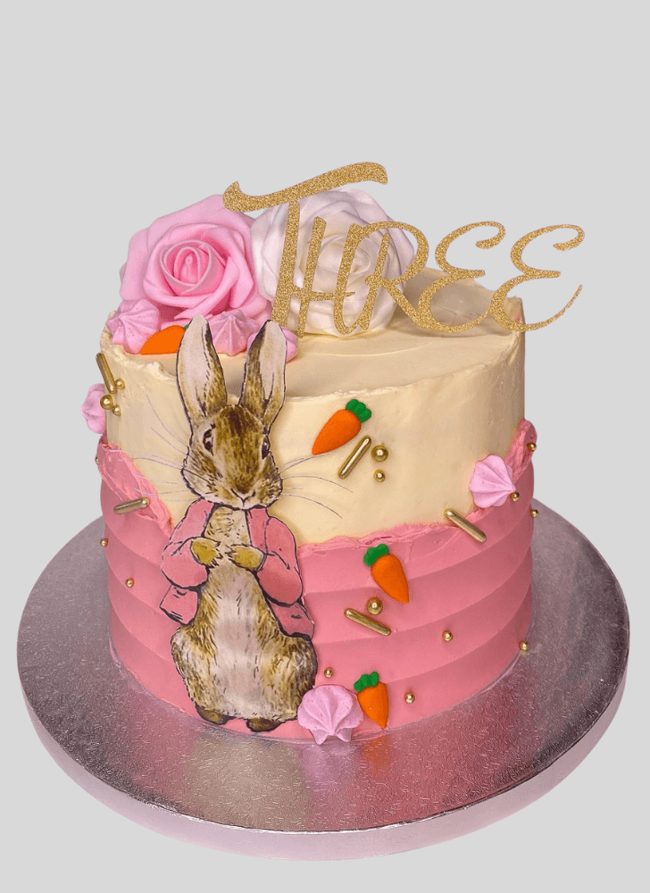 Magnetic Peter Rabbit Cake