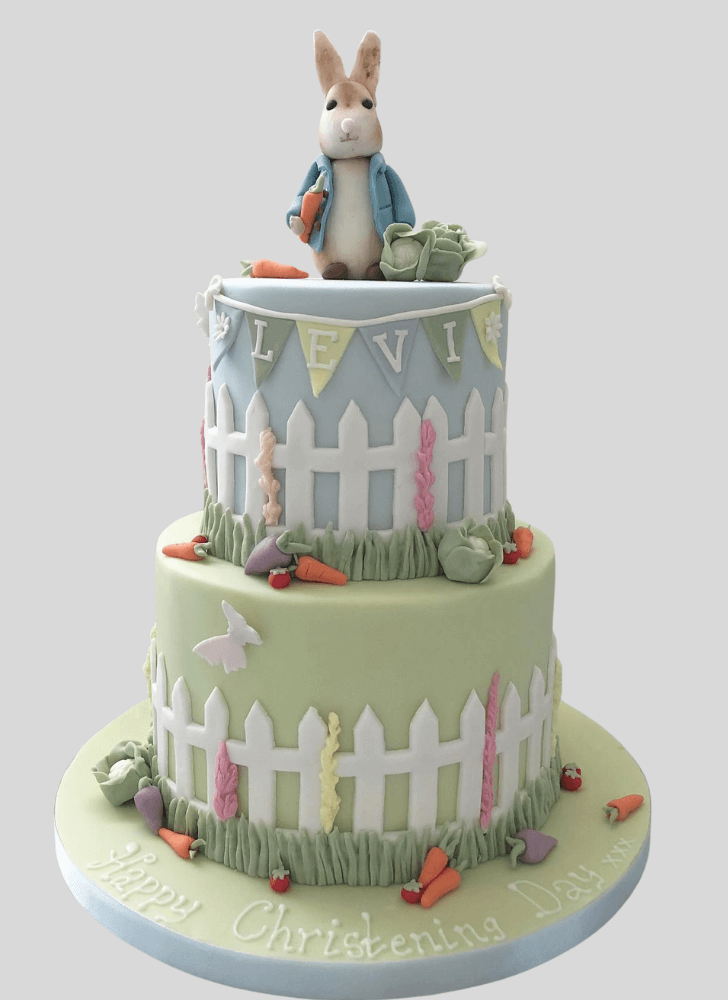 Marvelous Peter Rabbit Cake
