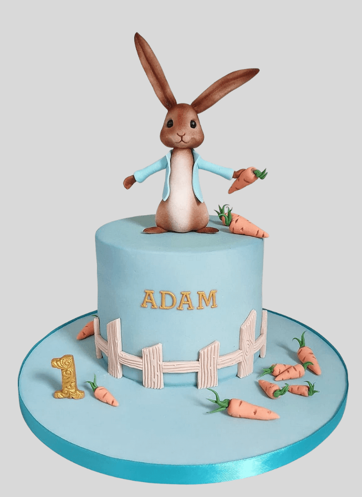 Nice Peter Rabbit Cake