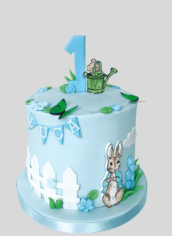 Shapely Peter Rabbit Cake