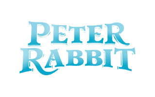 Peter Rabbit Cake Design